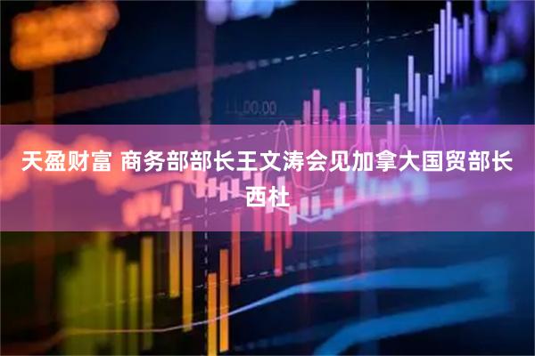 天盈财富 商务部部长王文涛会见加拿大国贸部长西杜