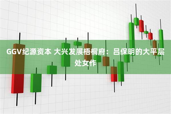 GGV纪源资本 大兴发展梧桐府：吕保明的大平层处女作