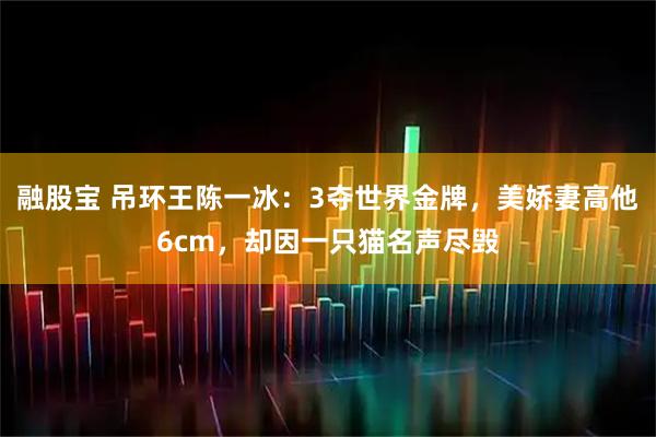融股宝 吊环王陈一冰：3夺世界金牌，美娇妻高他6cm，却因一只猫名声尽毁