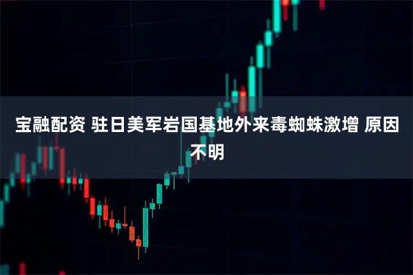 宝融配资 驻日美军岩国基地外来毒蜘蛛激增 原因不明