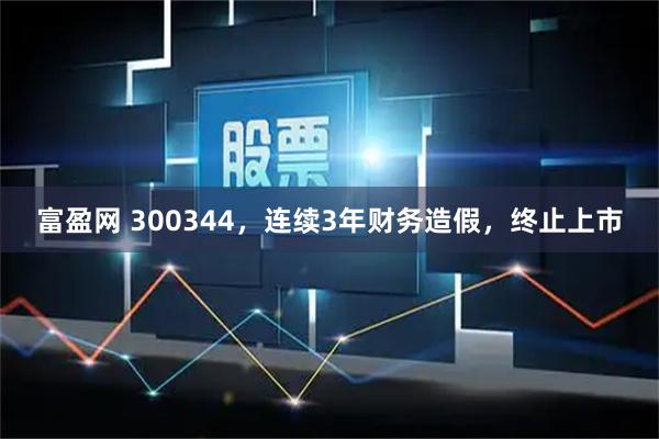 富盈网 300344，连续3年财务造假，终止上市