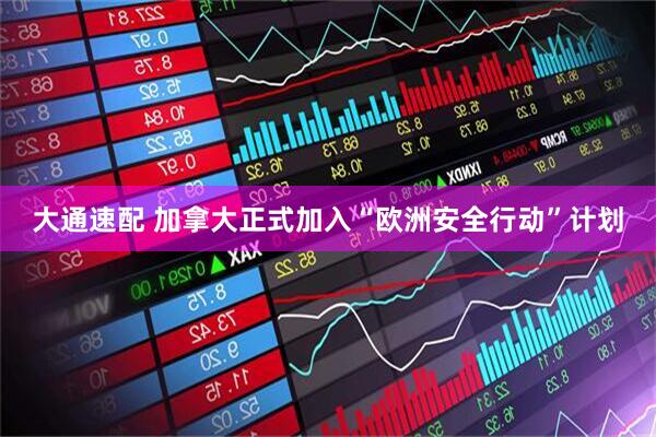 大通速配 加拿大正式加入“欧洲安全行动”计划