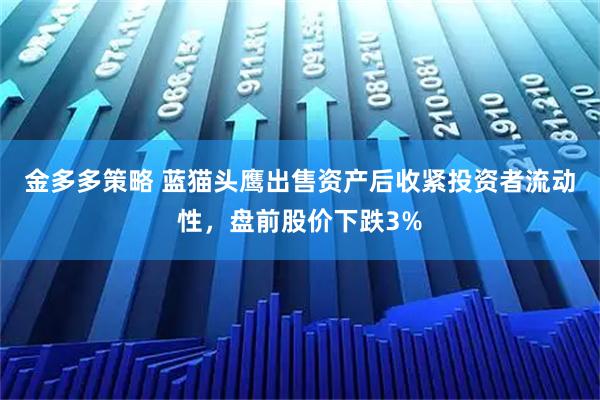 金多多策略 蓝猫头鹰出售资产后收紧投资者流动性，盘前股价下跌3%