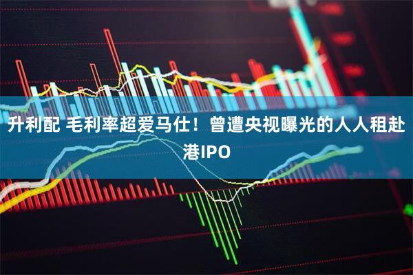 升利配 毛利率超爱马仕！曾遭央视曝光的人人租赴港IPO